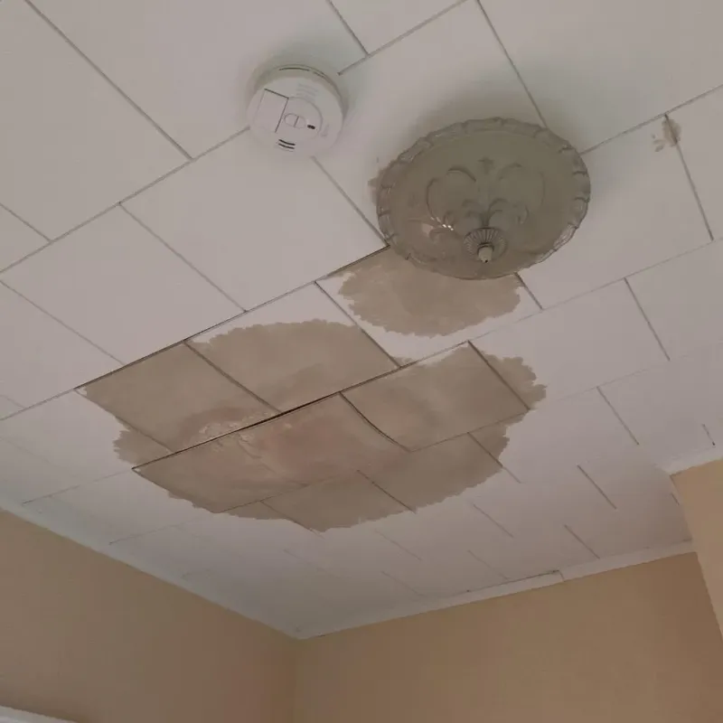 Ceiling Water Damage Repair in Finley, WA