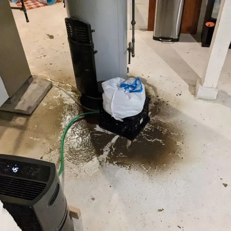 Sewage Backup Cleanup Service in Finley, WA